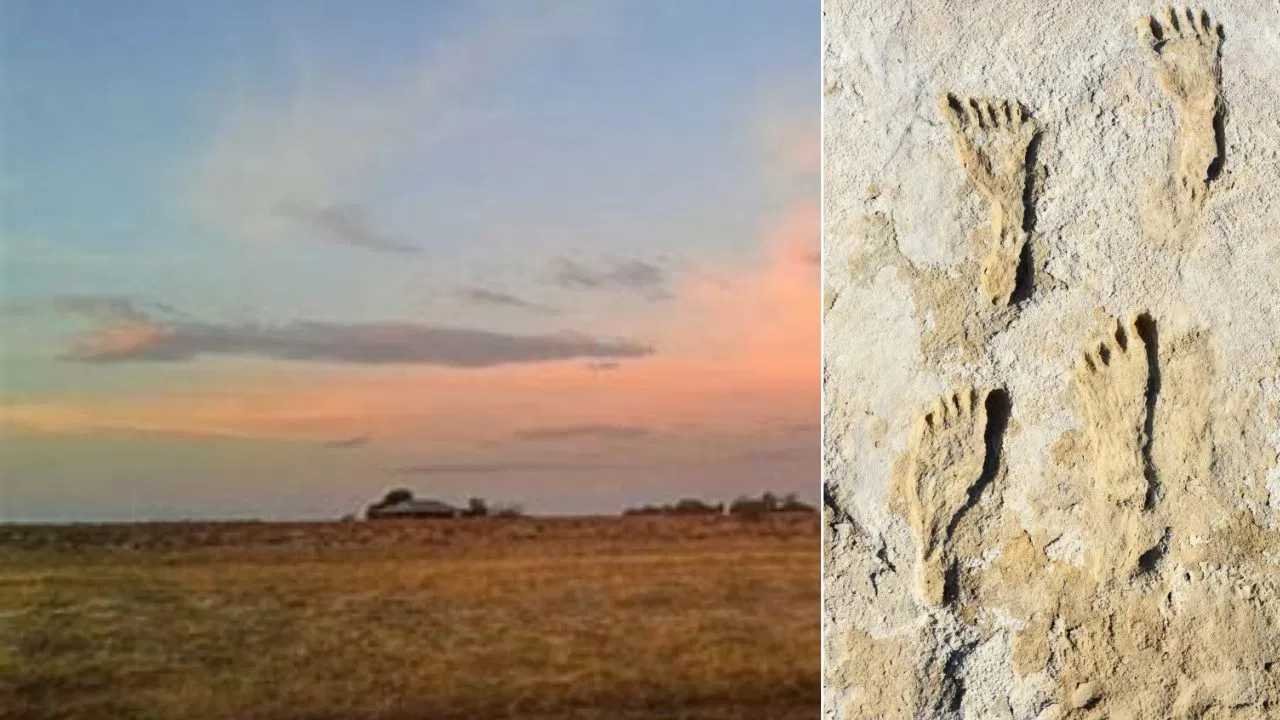 15 लाख साल पहले मानव प्रजातियां, प्राचीन मानव प्रजातियां, केन्या मानव इतिहास, कूबी फोरा, पैरों के निशान, प्राचीन मानव, मानव प्रजातियों का सहअस्तित्व, कूबी फोरा अध्ययन, प्राचीन मानव का जीवन, मानव विकास